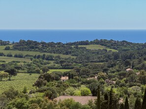 Weinlandschaft mit terrassierten Feldern, Bäumen und Gebäuden.