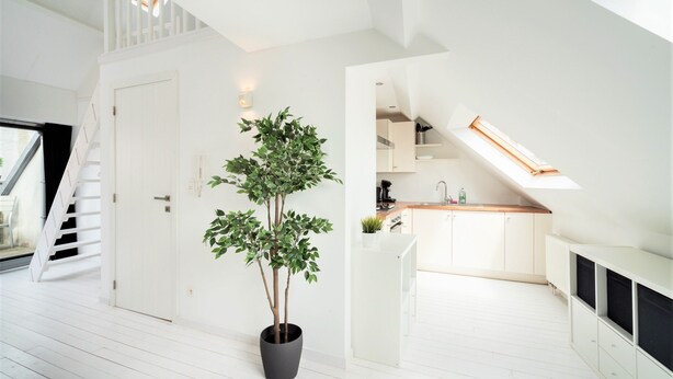 A modern kitchen with white cabinetry, a potted plant, and a skylight. - Stylish Terrace Apartment in Antwerp (Antwerp)