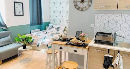 Studio rénové avec wc séparé