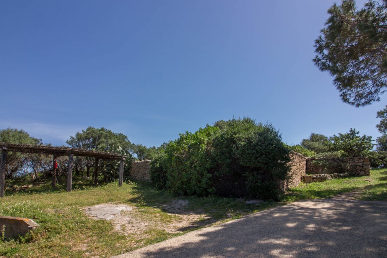 Un cadre rural caractérisé par un mur de pierres, une pergola en bois et une végétation luxuriante.