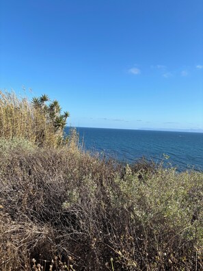 Eine Küstenlandschaft mit trockener Vegetation und freier Sicht auf den Ozean.