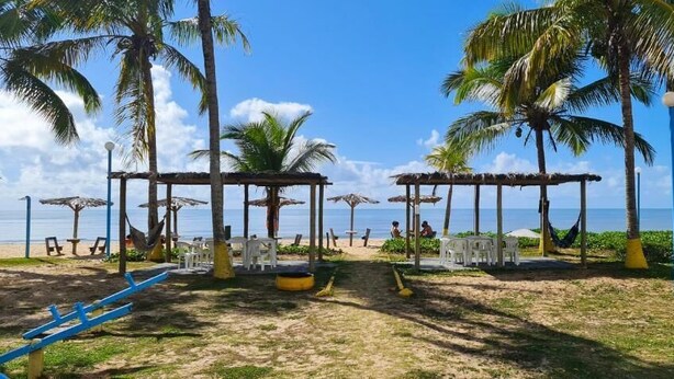 Una playa con un pabellón, palmeras y sillas para tomar el sol.