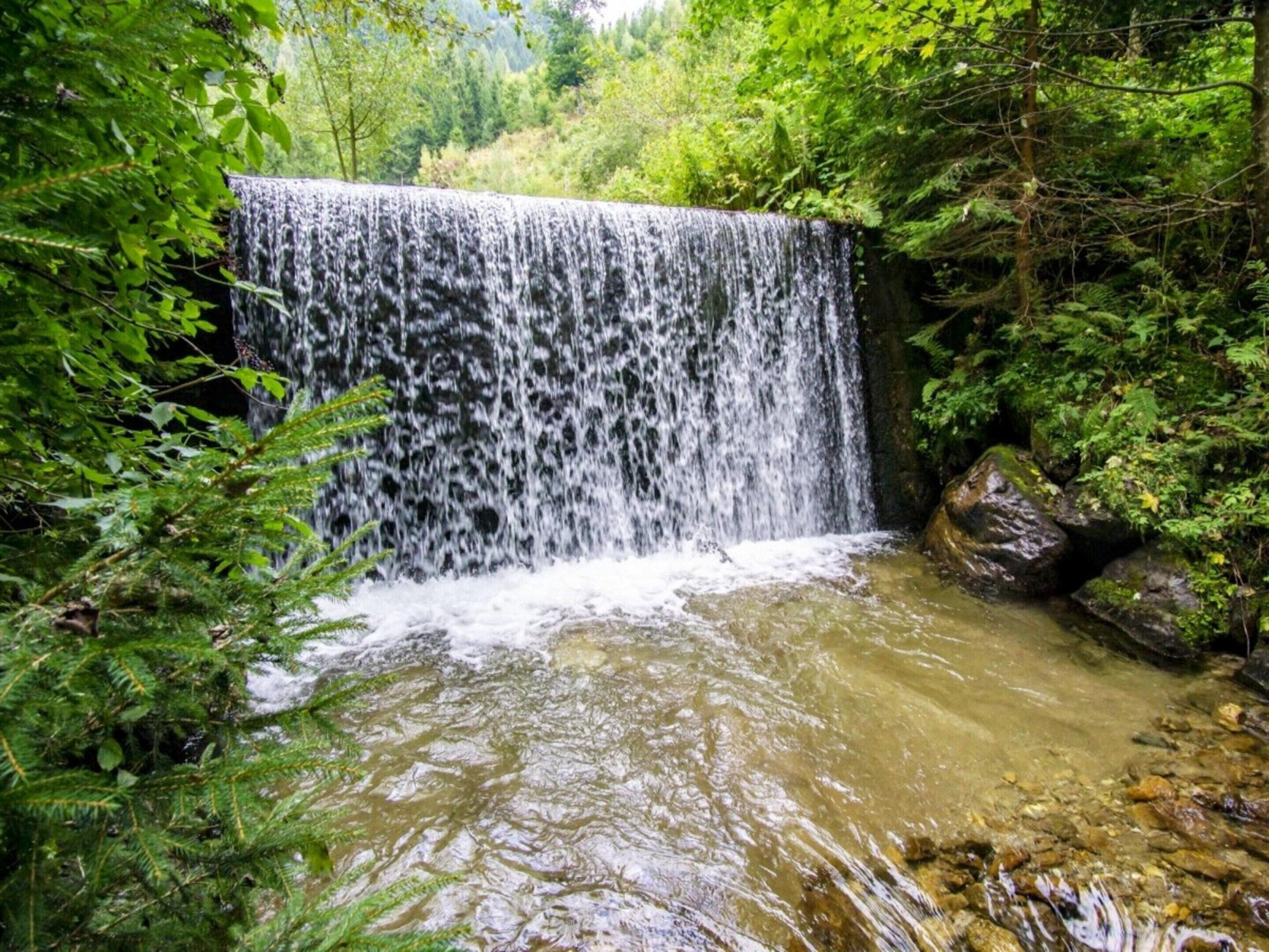 Ein Wasserfall, umgeben von dichtem Grün.