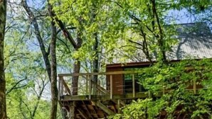 Uma estrutura de casa na árvore com deck de madeira, cercada por árvores.