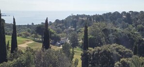 Eine Küstenlandschaft mit einem Haus, umgeben von Bäumen und Blick auf das Meer.