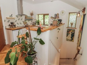 A kitchen with a wooden countertop, a hanging plant, and a painting on the wall.