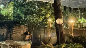 Ein möblierter Patio-Bereich im Freien, umgeben von Grünpflanzen und einem Baum.