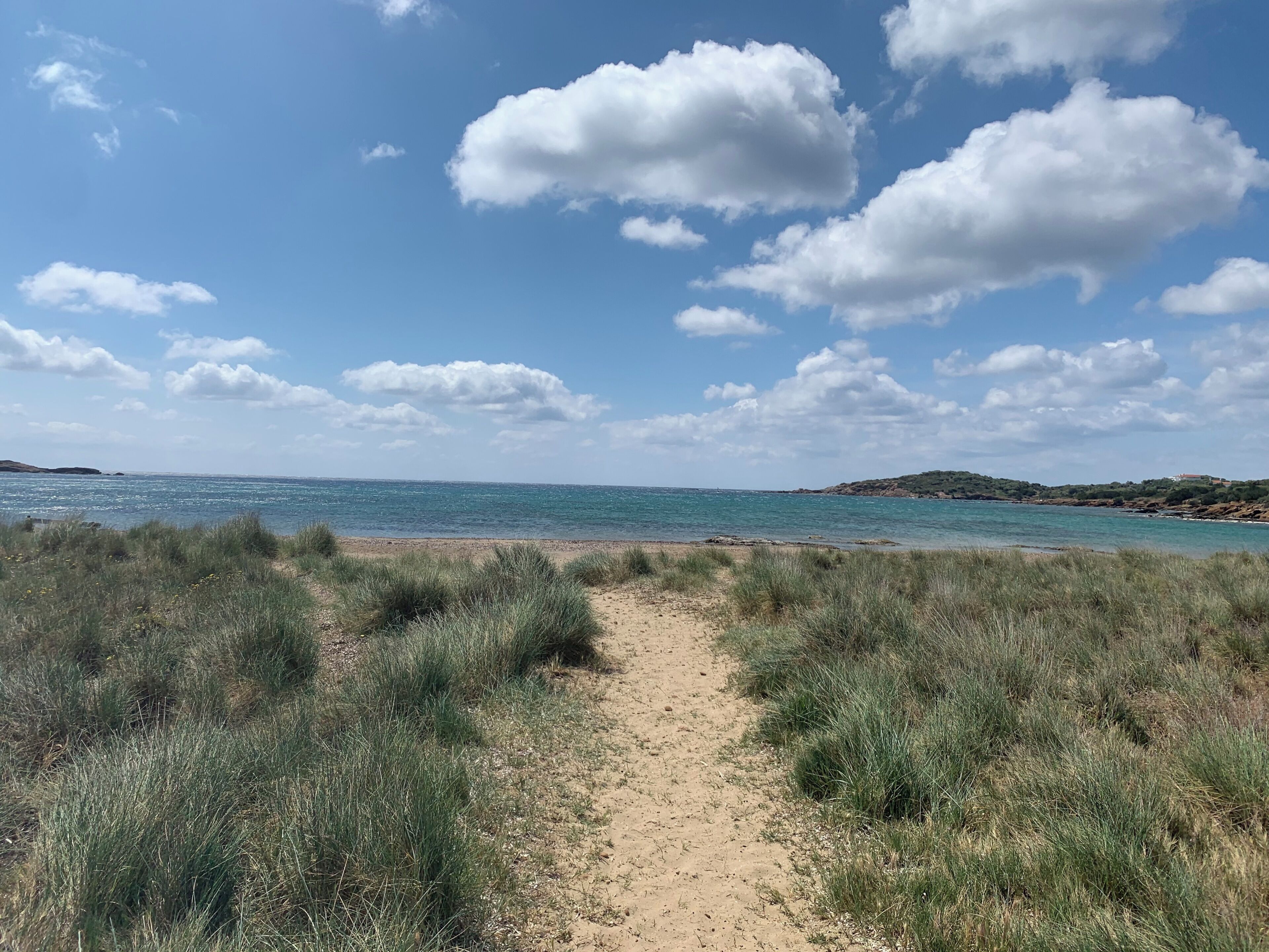 A beach path leading to the sea with grassy dunes and a clear sky.