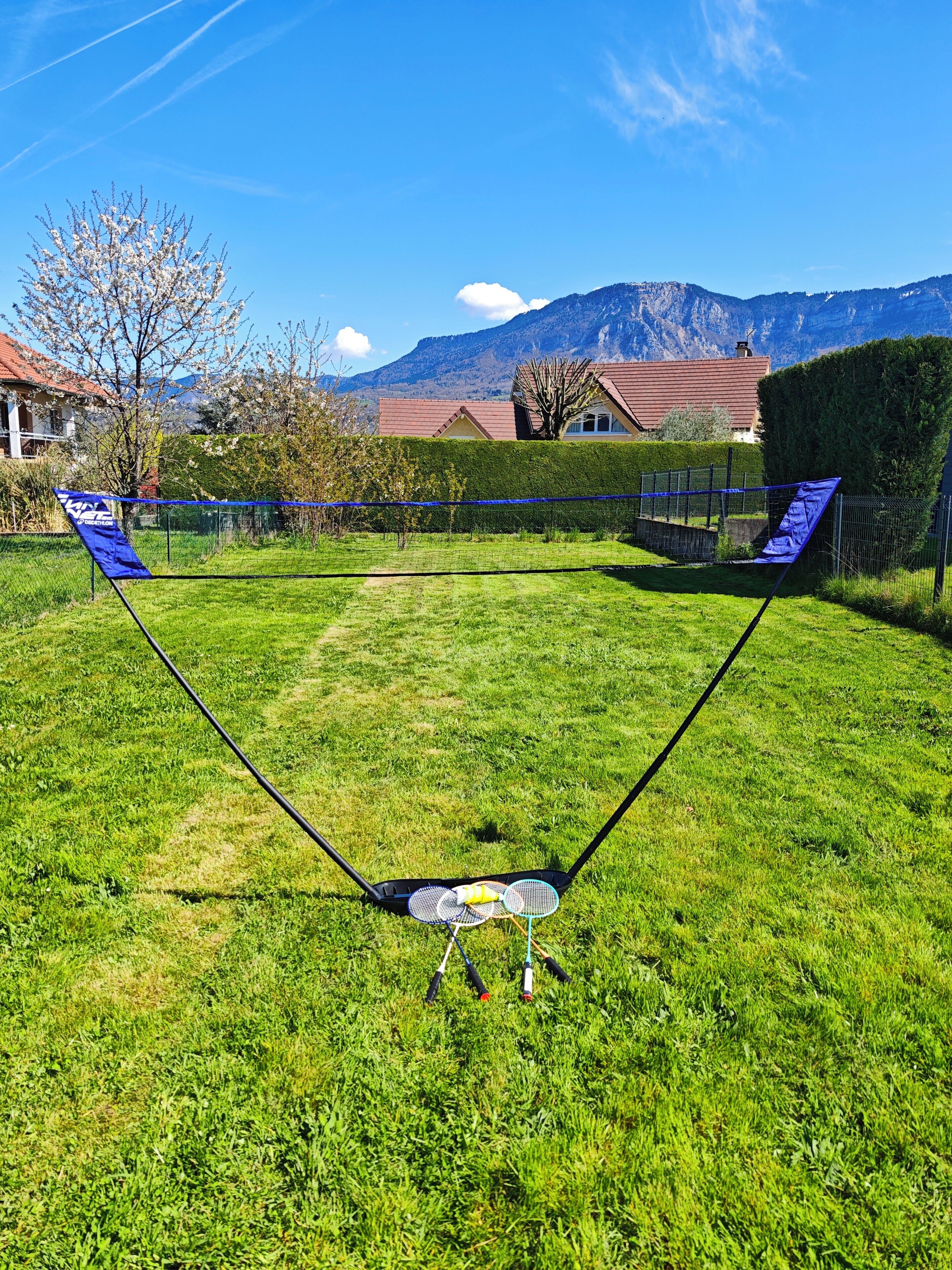 Een gazon met een badmintonnet, een boom en een huis op de achtergrond.