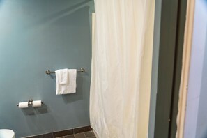 Hair dryer, towels, soap, toilet paper - Ski-in/Ski-out, Modern Studio, Snowshoe Village (Slaty Fork)
