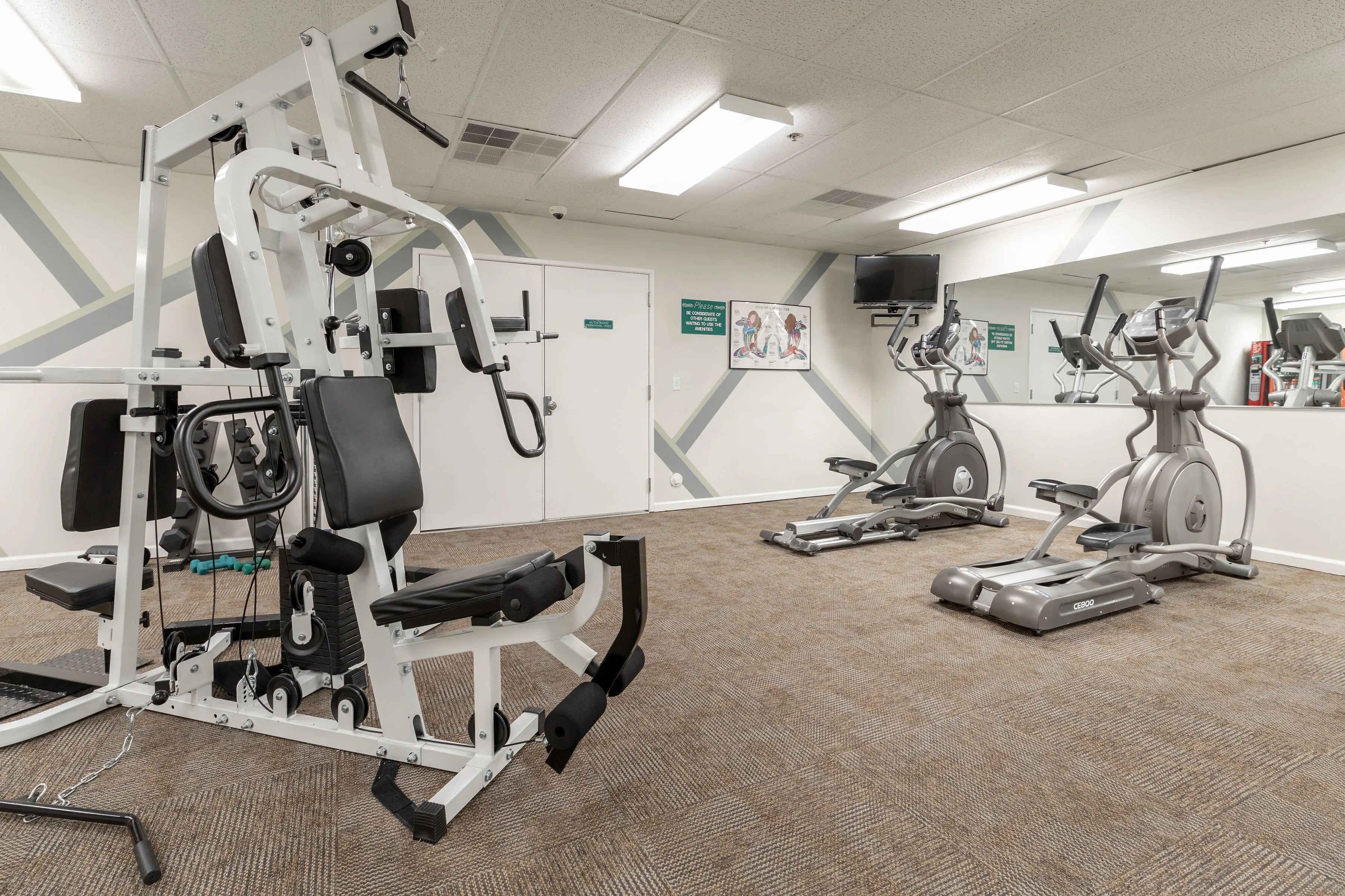 A gym with cardio machines, weight machines, and a mirrored wall.