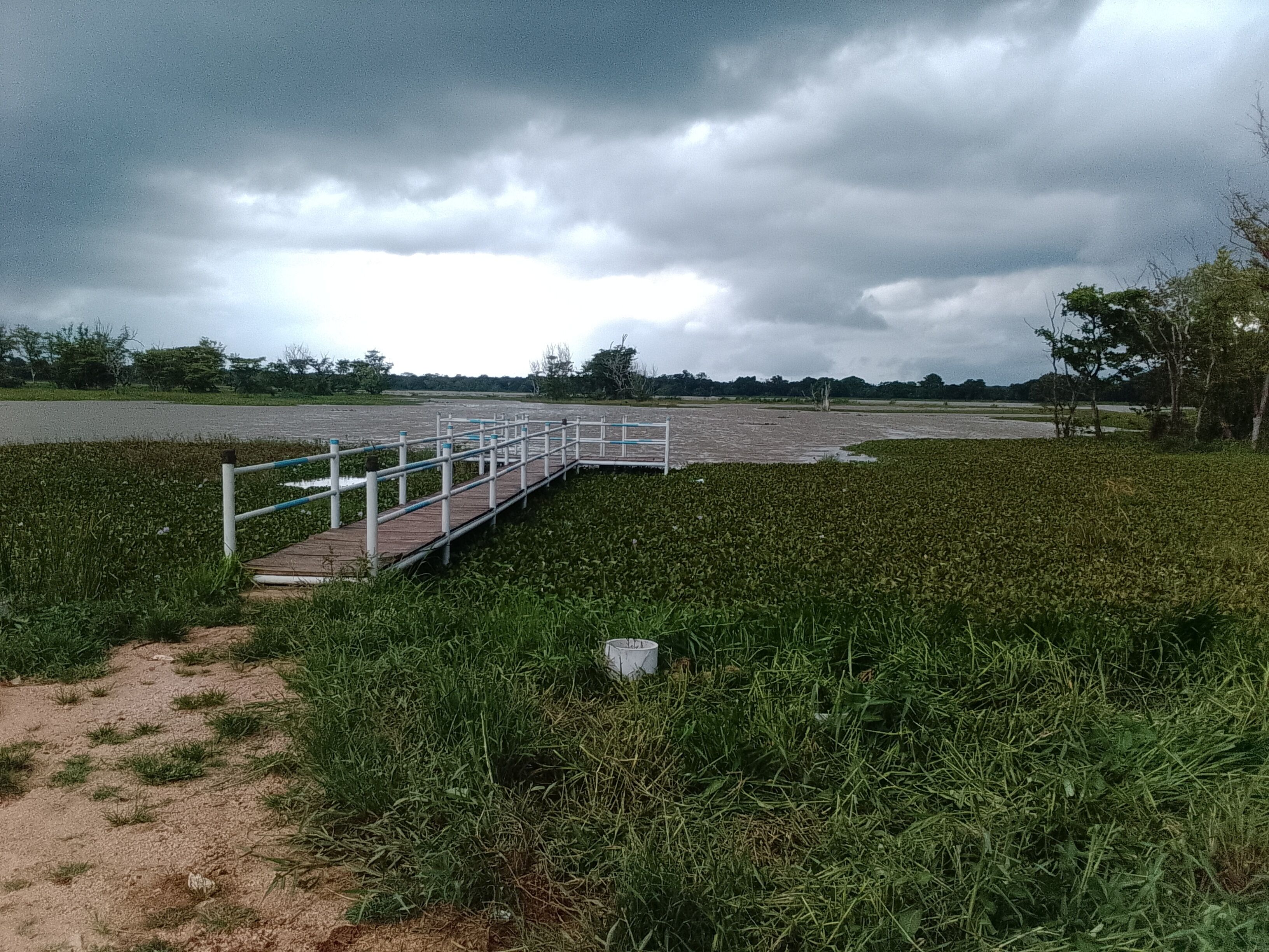 เบสิกวิลล่า, วิวสวน | อื่นๆ
