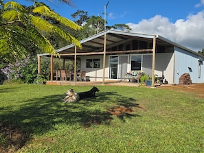 A house with a covered patio, a lawn, and two dogs.