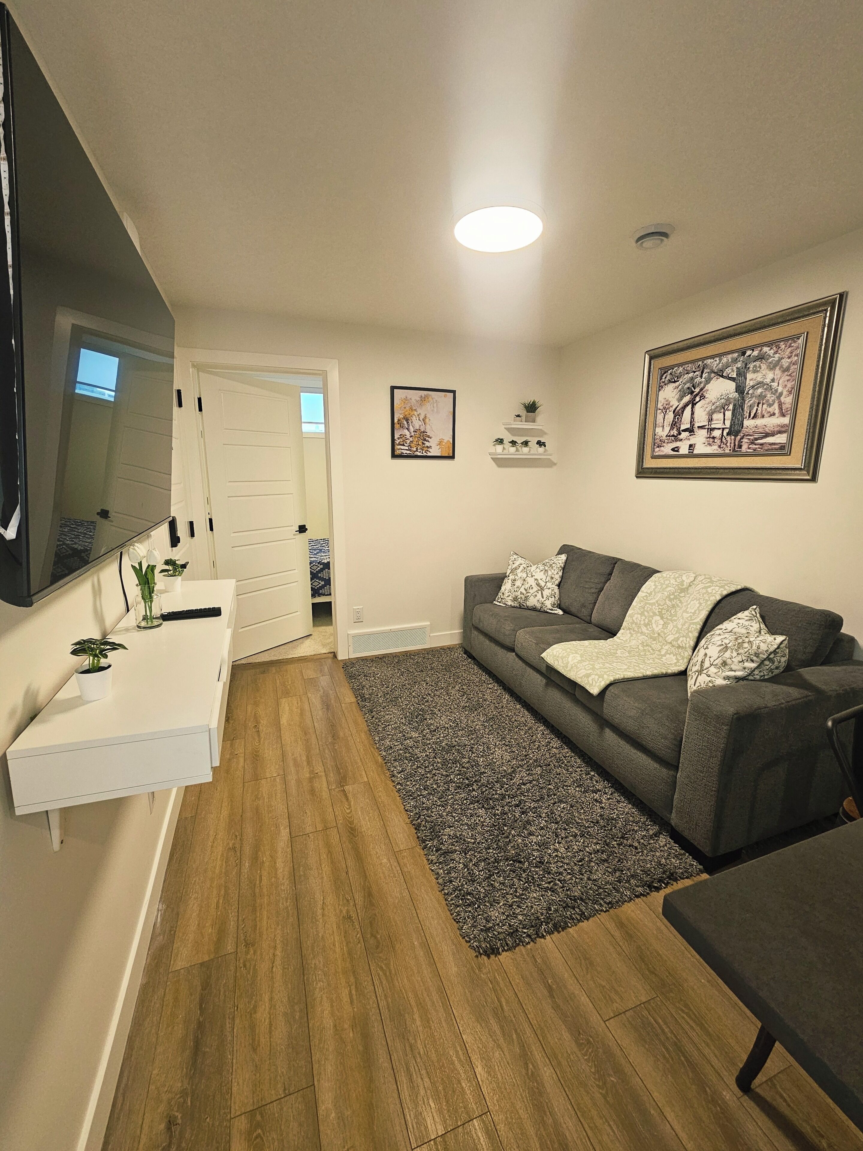 Smart TV