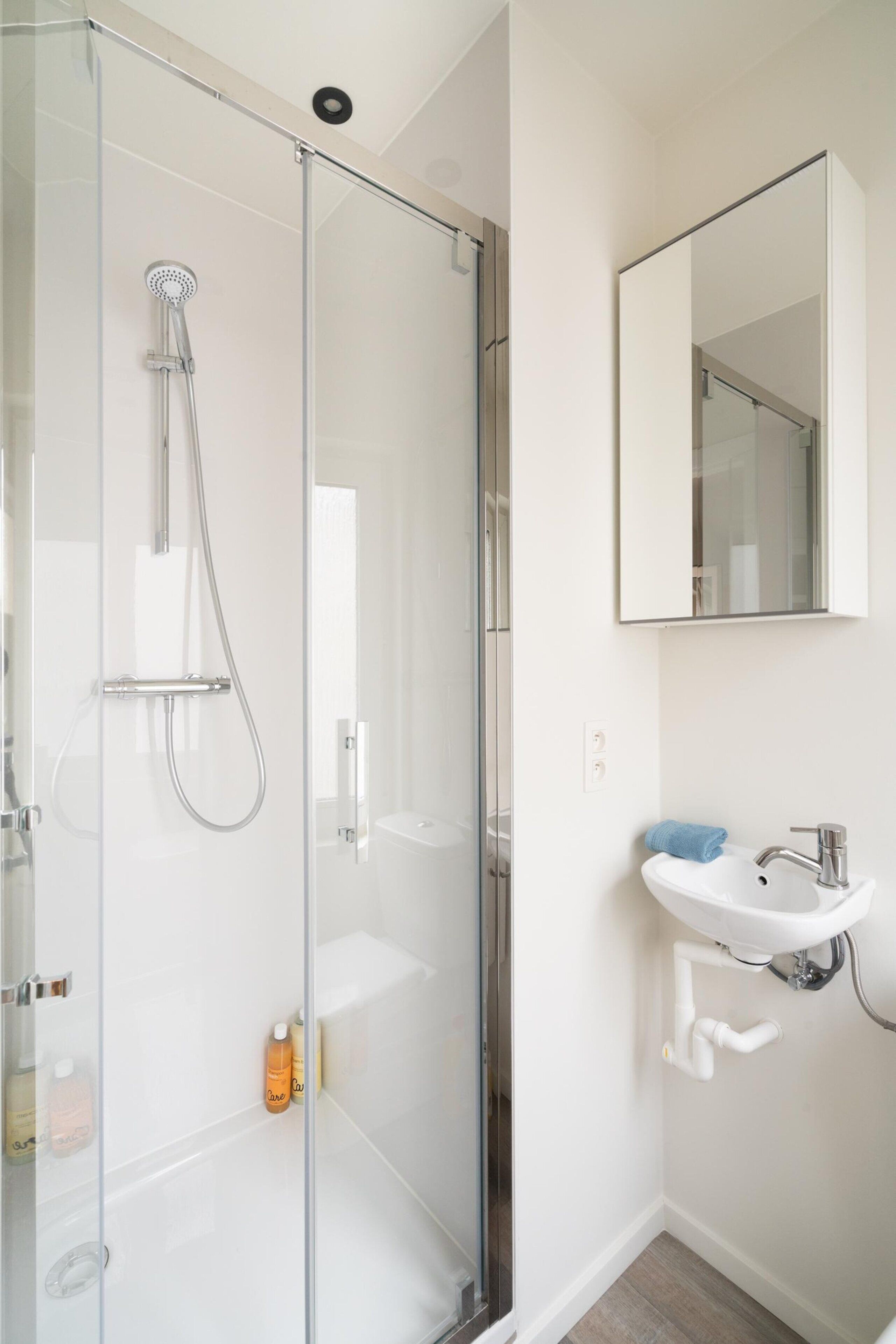 A modern bathroom with a glass-enclosed shower, a white sink, and a mirror above it.