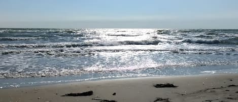 Plage à proximité