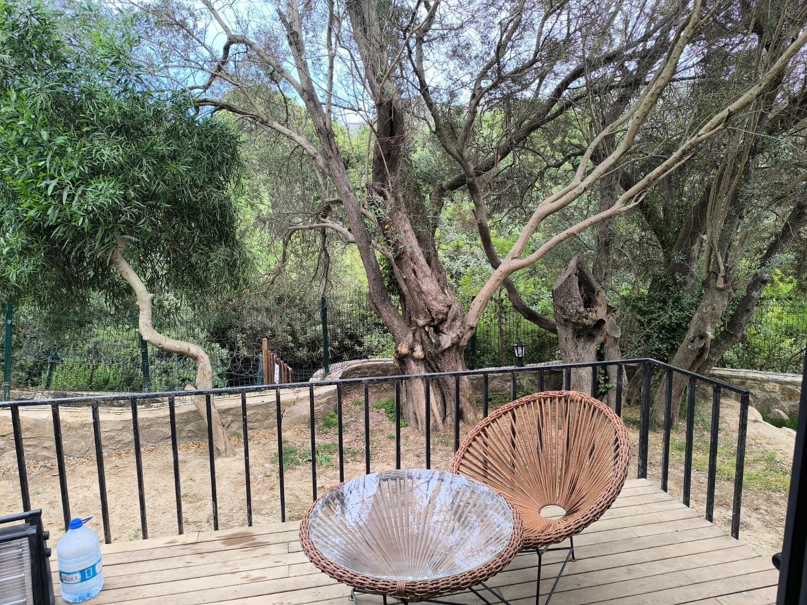 Classic Room, Garden View | Property grounds