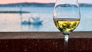 Una copa de vino blanco sobre una superficie de madera, con vista a un cuerpo de agua y árboles al fondo.
