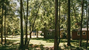 A forested area with several cabins.