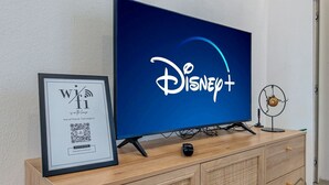 Un téléviseur orné du logo Disney+, un panneau Wi-Fi encadré et un petit ventilateur décoratif posé sur un meuble en bois.