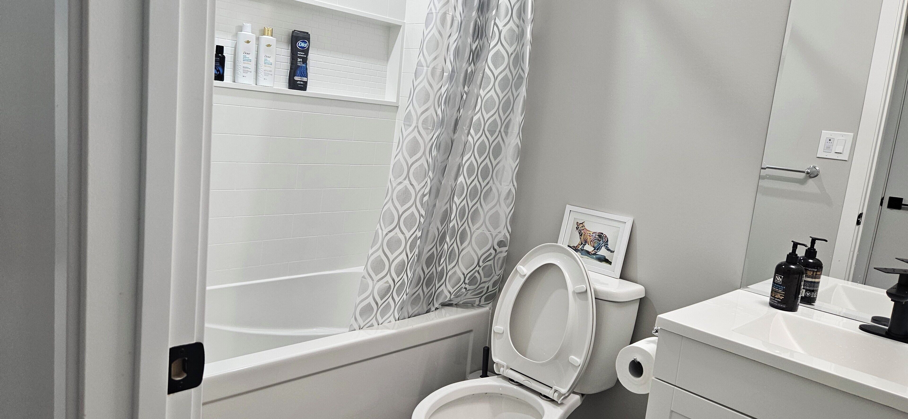 Hair dryer, towels, soap, toilet paper