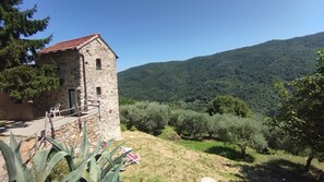 A stone building with a red-tiled roof, surrounded by olive trees and a hilly landscape.