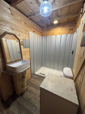 Regadera, toallas, jabón, papel de baño 
