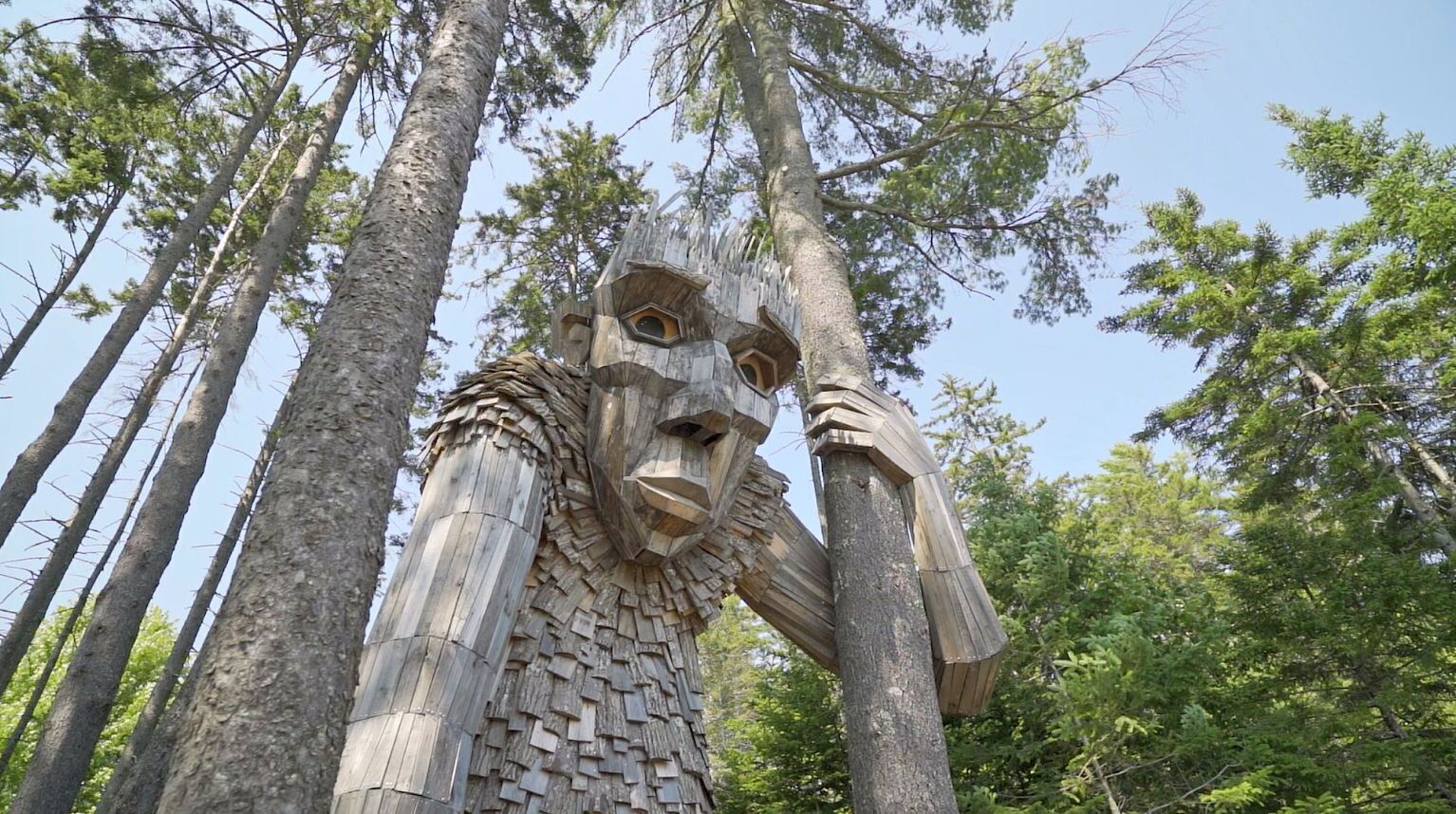 Eine große Holzskulptur, die einen Baum mit einem Gesicht darstellt, umgeben von hohen Bäumen.