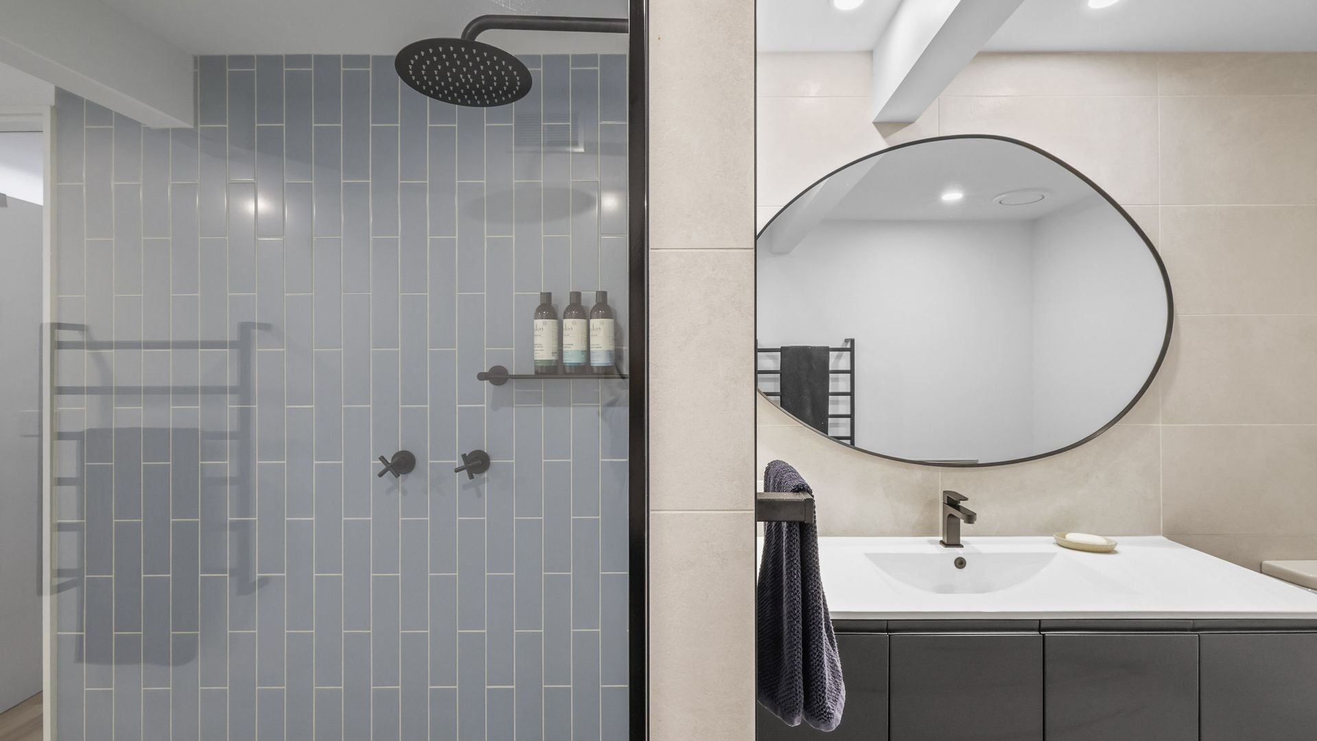 Shower, hair dryer