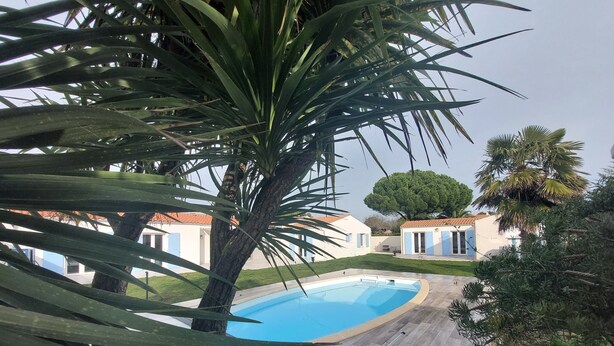 Une piscine entourée d’une terrasse en bois, avec des palmiers et un grand arbre en arrière-plan.