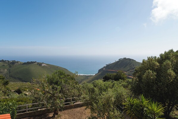 A coastal landscape with rolling hills and a clear view of the sea.
