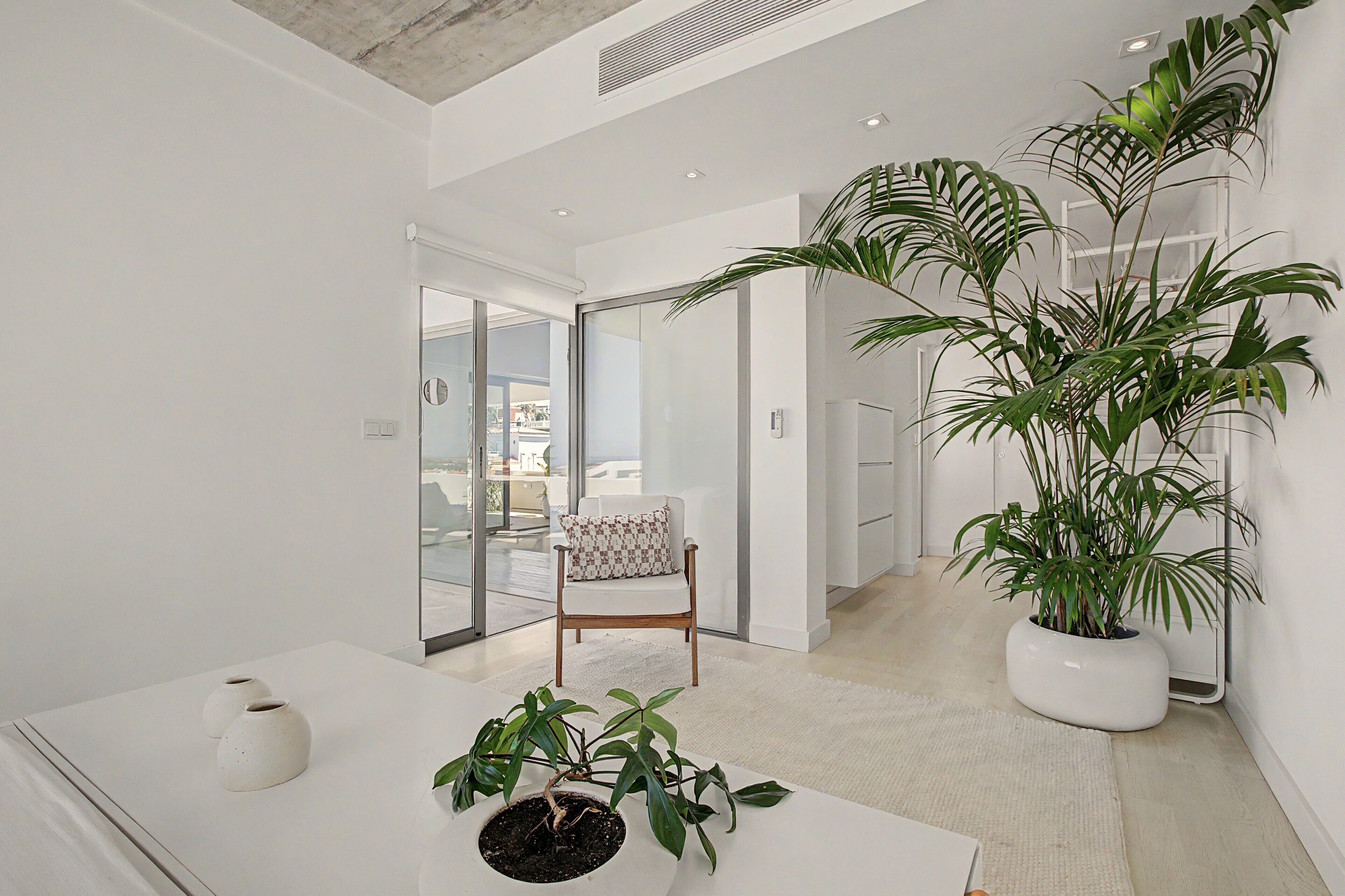 Een modern interieur met een witte bank, een potplant en een glazen deur naar een buitenruimte.