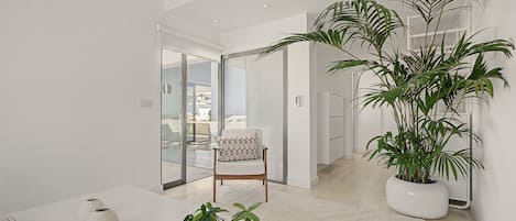 A modern interior with a white sofa, a potted plant, and a glass door leading to an outdoor area.