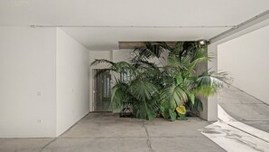 En gang med beton gulv, hvide vægge og en stor potteplante med brede blade.