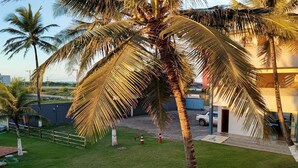 A well-maintained grassy area with palm trees, a paved driveway, and a building with a visible entrance.