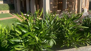 Een gebouw met twee verdiepingen, een overdekt terras, stenen muren en een goed onderhouden tuin met groene beplanting.