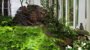 Ein Garten mit einer großen Felsformation, einem Vogelkäfig und einem Blumentopf.