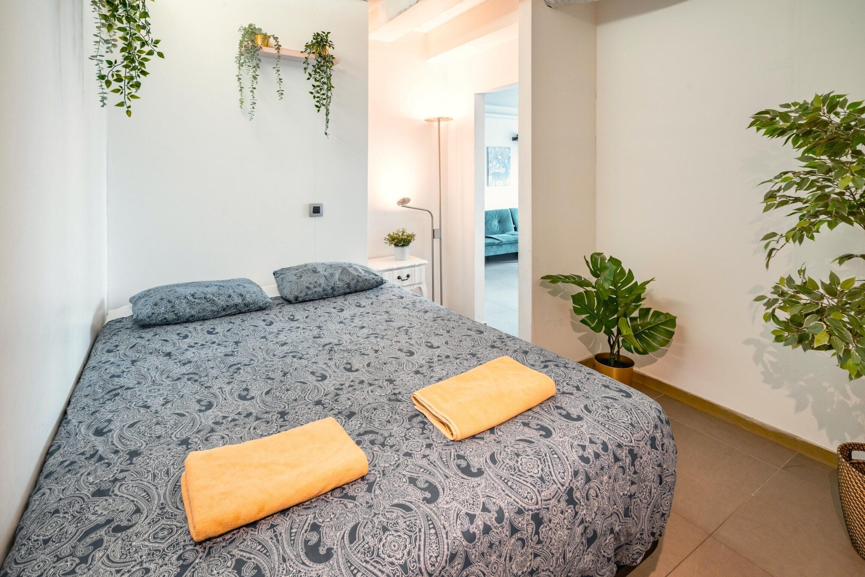 Appartement | 1 slaapkamer