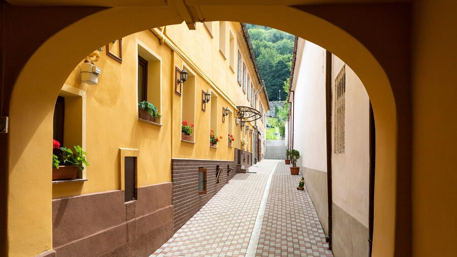 StayNATURAL Brasov Center