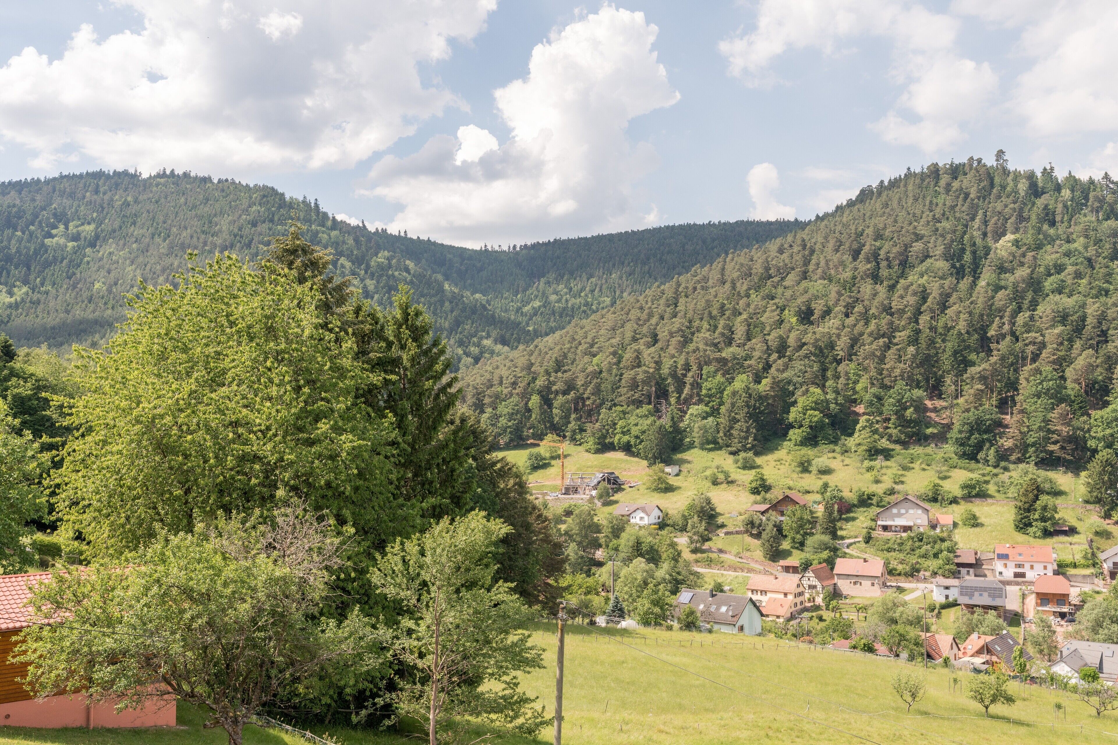 Un pueblo rural con casas, un árbol grande y colinas al fondo.