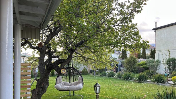A garden with a swing chair, a lamp post, and a small white dog.