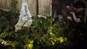A decorative Eiffel Tower replica, a wooden fence, and a poster with a moon and a cat.