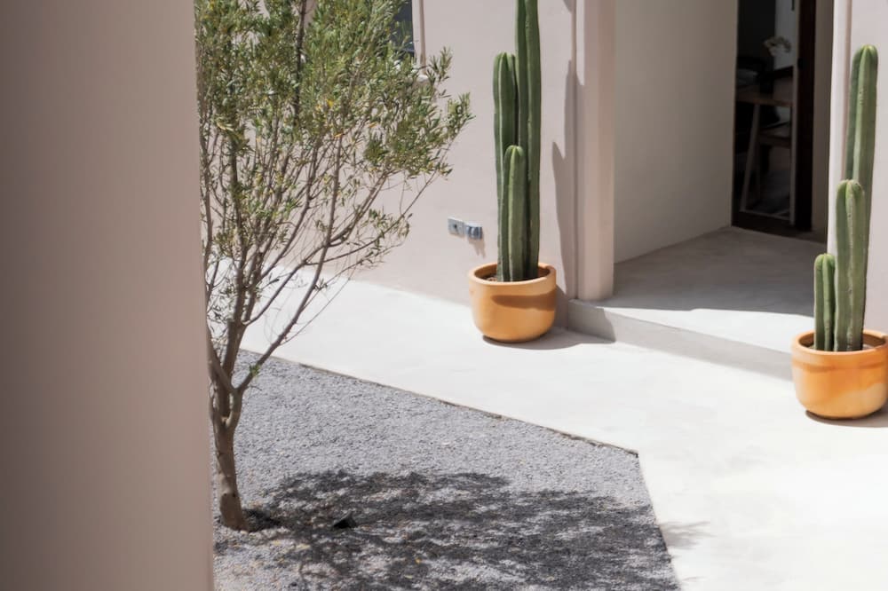 Patio 7 Studios