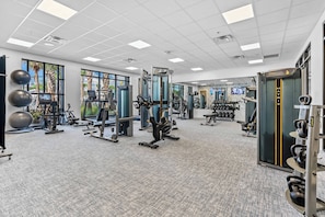 Un gimnasio moderno con diverso equipo de ejercicio, ventanas amplias y piso alfombrado.