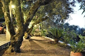 Ein Garten mit einem großen Baum, einer Topfpflanze und einer Ziegelmauer.
