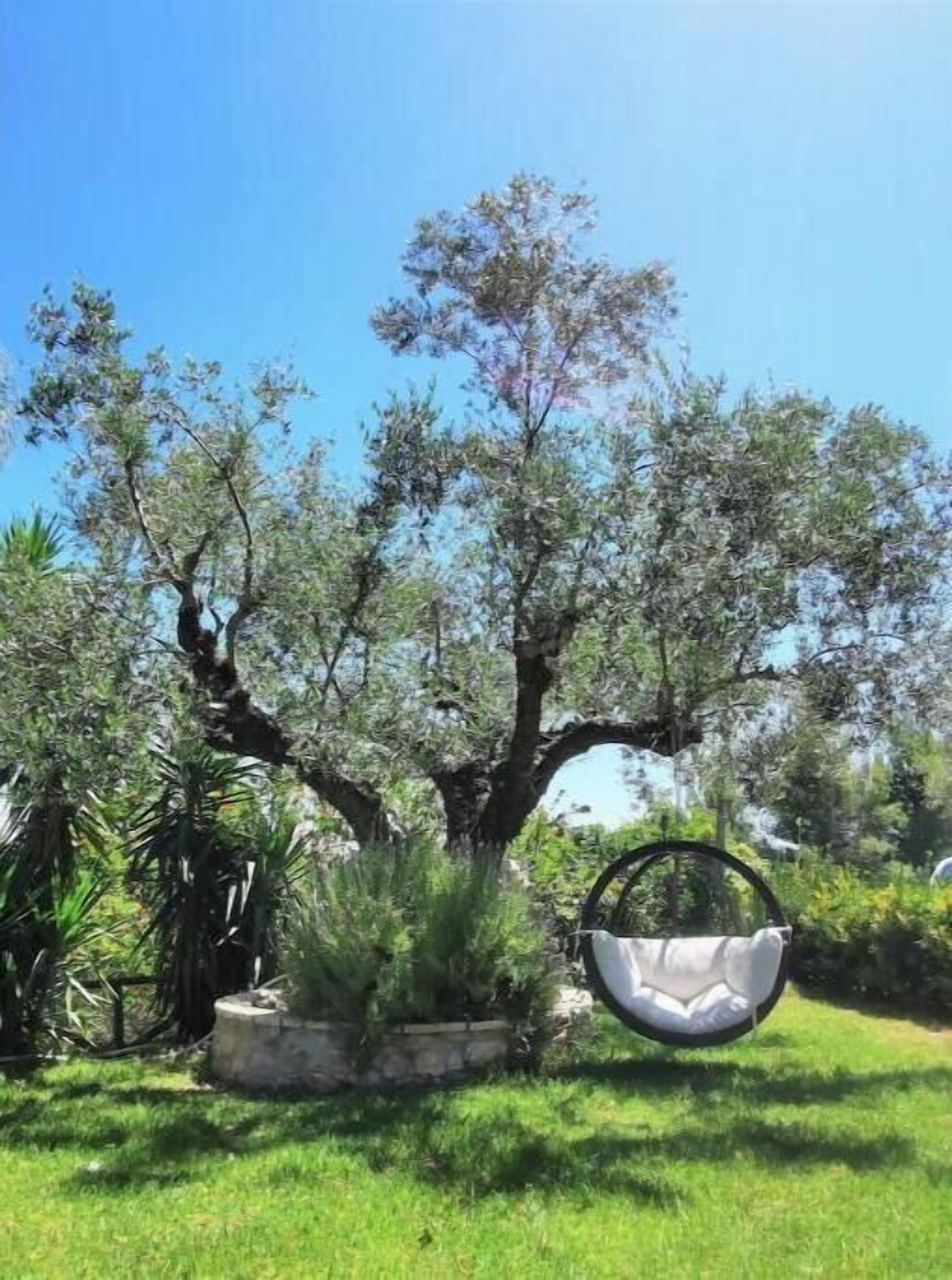 A garden with a hanging chair, a tree, and a stone planter.