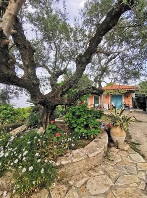 Exterior - Alta Mare Villa - Up to 17 persons (Zakynthos)