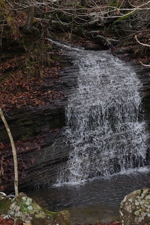 A waterfall cascading over a rocky ledge surrounded by trees and fallen leaves.