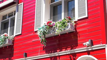 Detalle exterior