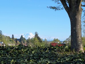 Property grounds - Gallery House: 4BR Near World Cup Stadiums & DT (Seattle)